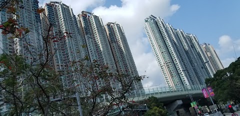 Festival City Phase 1