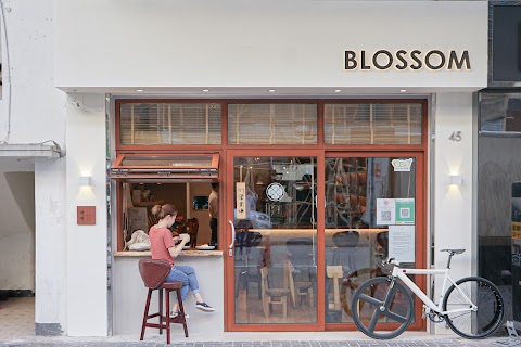 The Blossom Phase II