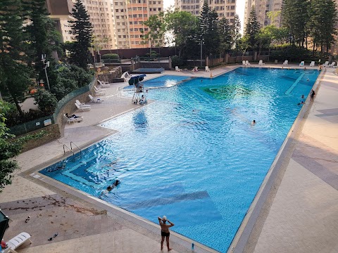 The Belcher's Phase 1