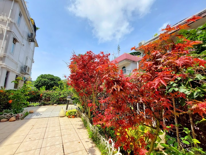 Po Wah Garden Phase 1