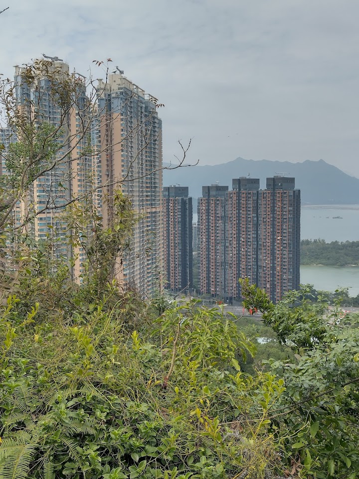 Double Cove Phase 2 Double Cove Starview