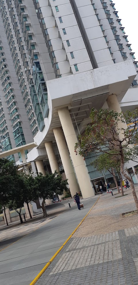 Tung Chung Crescent Phase 2