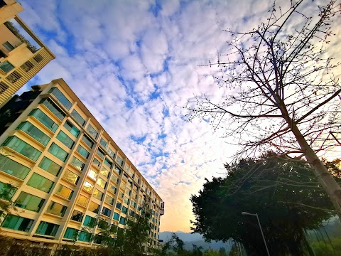 Providence Bay Phase 1