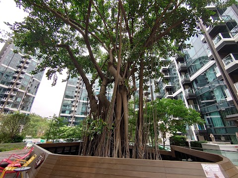 The Royale Phase 2 Starfront Royale