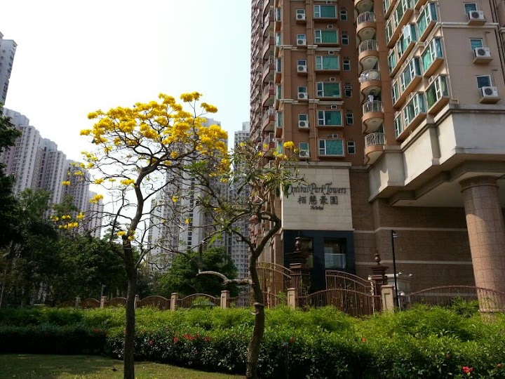 Central Park Towers Phase 1