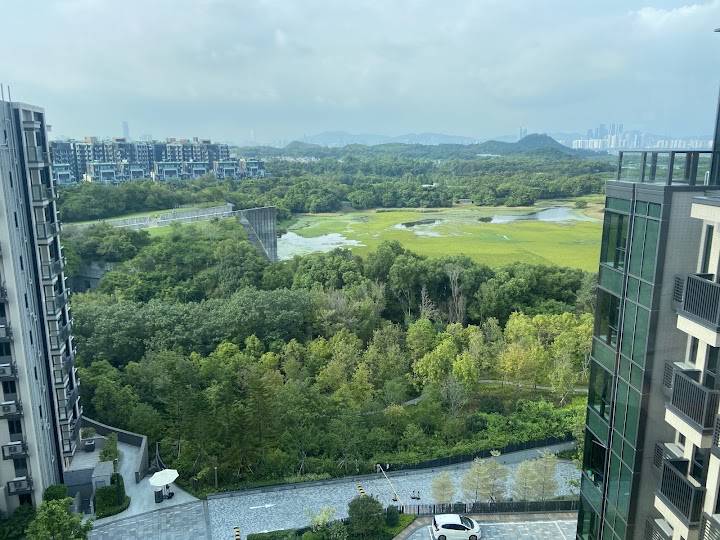 Wetland Seasons Park Phase 1