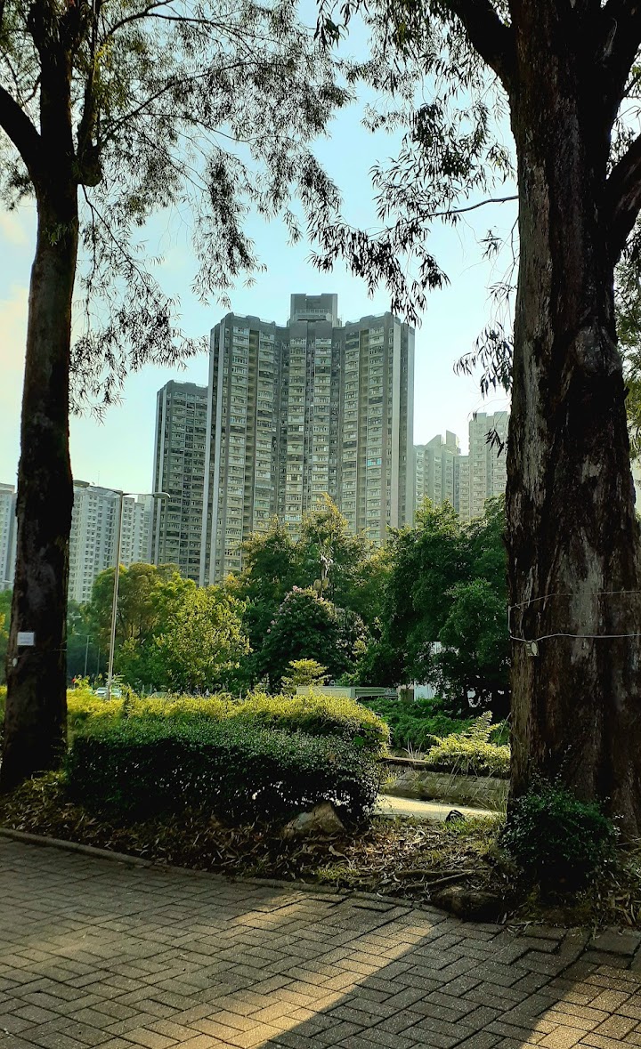 Classical Gardens Phase 2