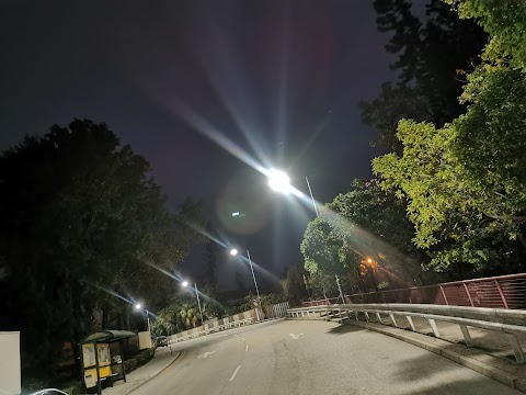 Hong Lok Yuen Twenty-Sixth Street