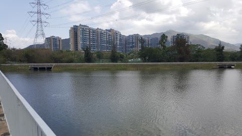 Riva Diveria Boulevard