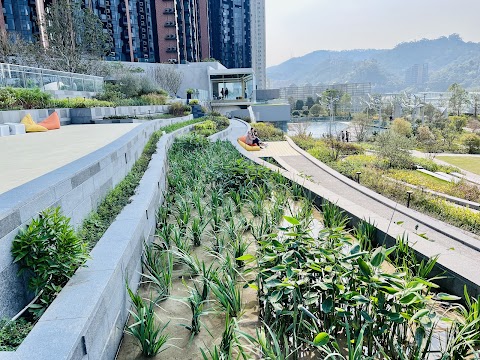 The Pavilia Farm Phase 2