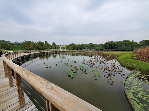 Wetland Seasons Park