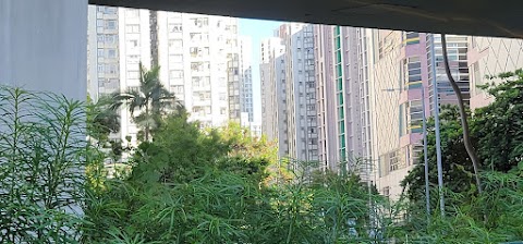 Lei King Wan Sites D