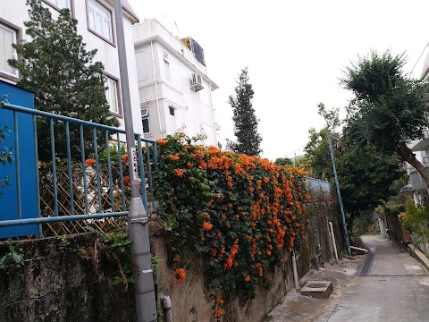 Po Wah Garden Phase 3