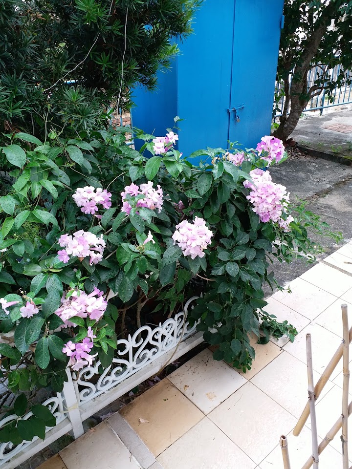 Po Wah Garden Phase 1