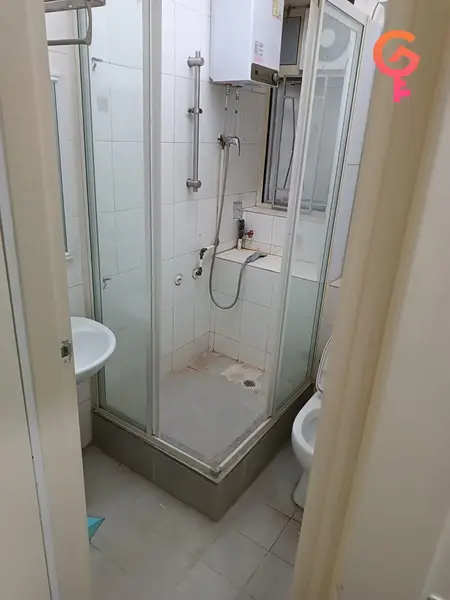 麗東大廈 listing image