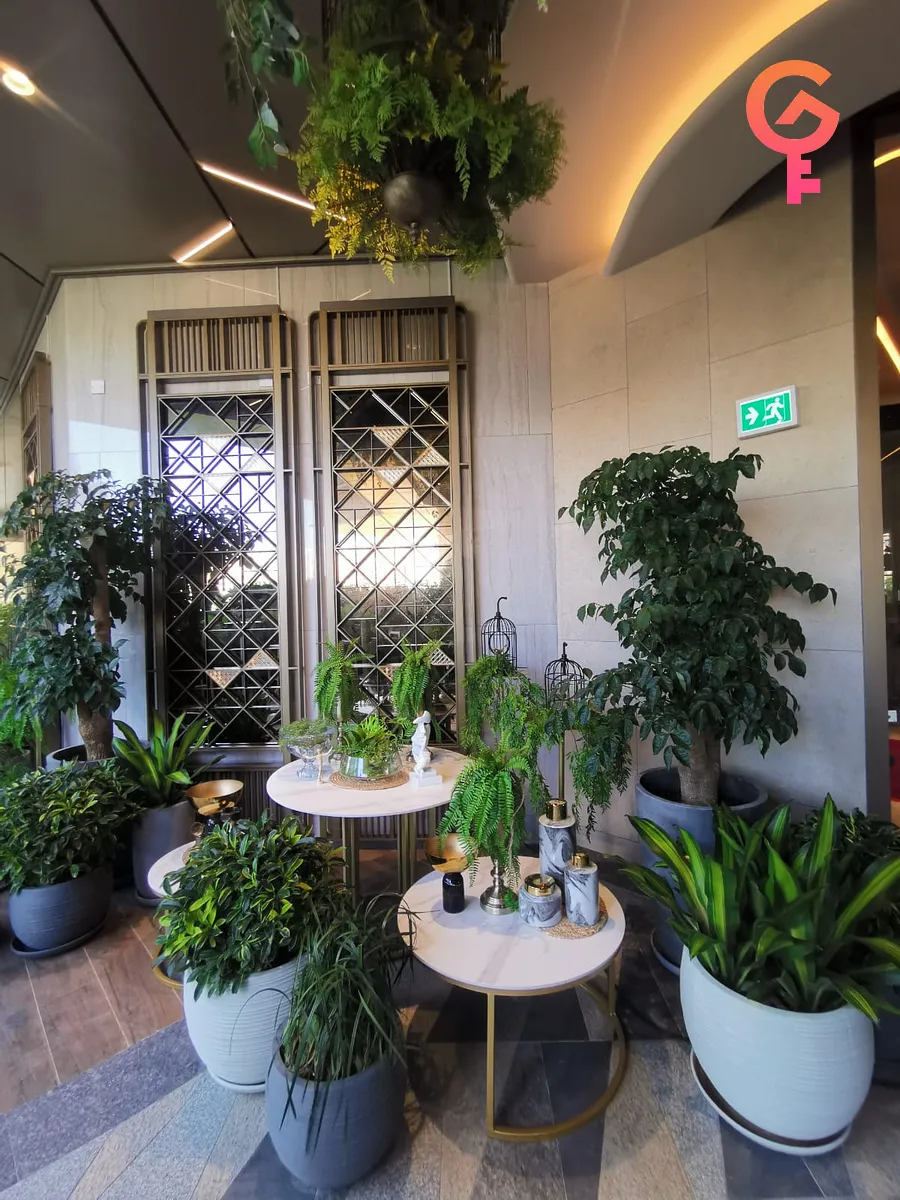 Grand Central Phase 2 listing image