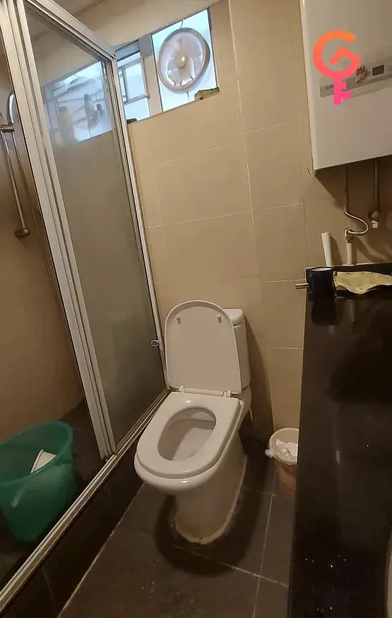 Whampoa Garden Phase 11 Bauhinia Mansions listing image