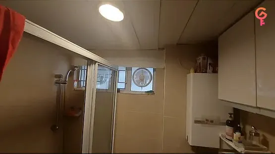 Whampoa Garden Phase 11 Bauhinia Mansions listing image