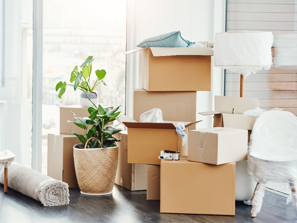 7 Tips to Find Best Moving Companies in Hong Kong post illustrative image