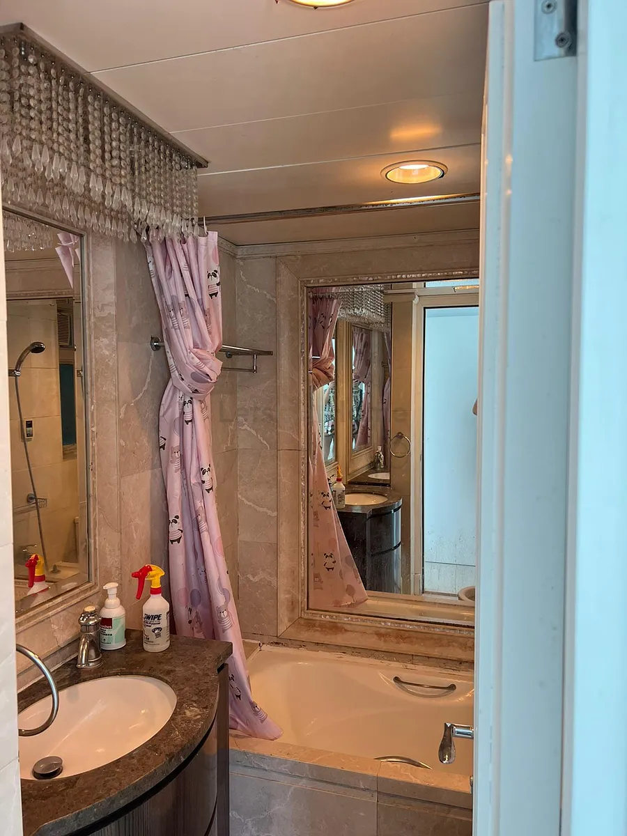 日出康城 2B期數 領都 領峯 listing image