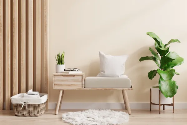 Cream Style: Warm & Practical Home Design post illustrative image