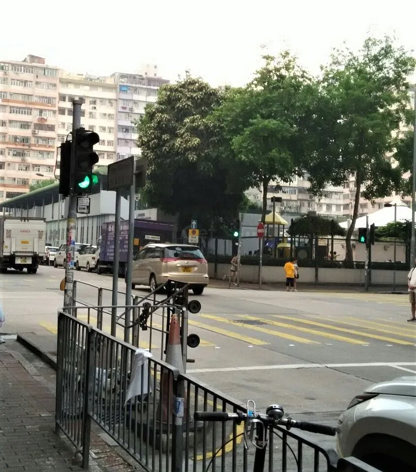 1J Wong Chuk Street listing image