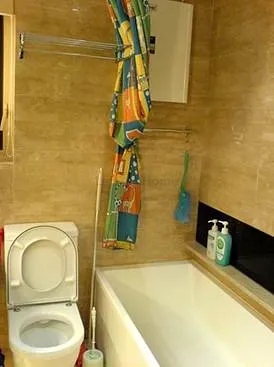 海濱南岸 listing image