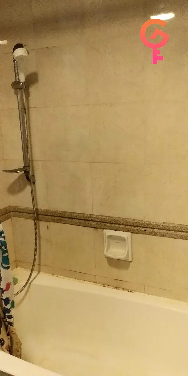 翠韻華庭 listing image