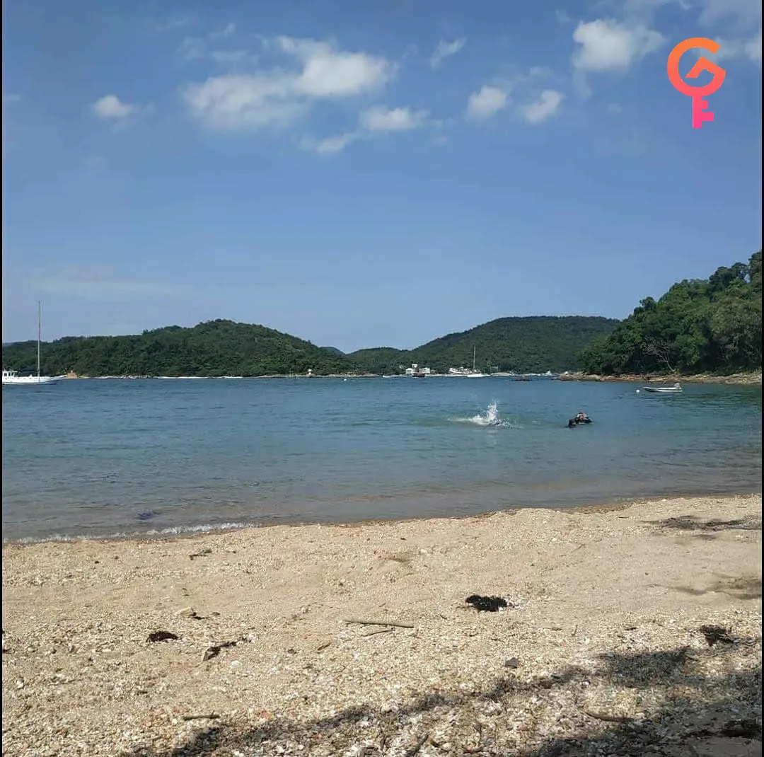 南圍 listing image