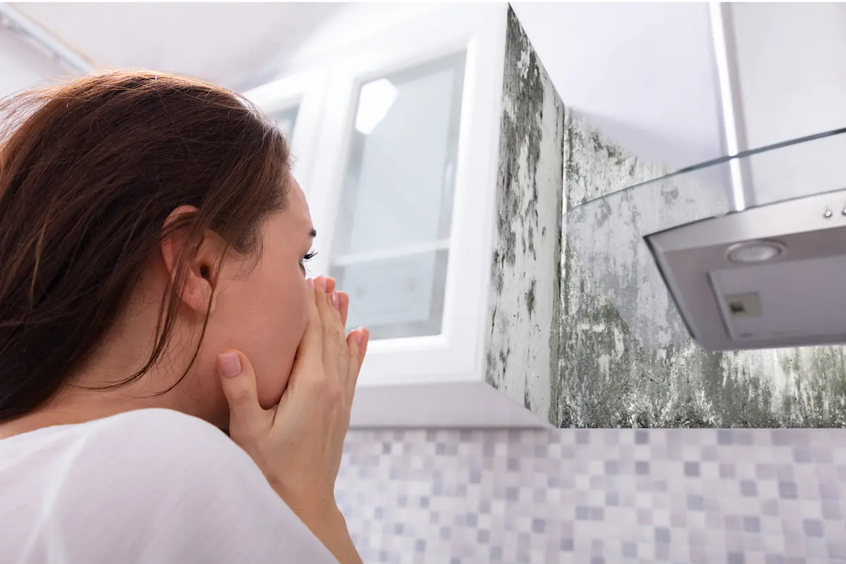 Prevent Mold in Hong Kong's November Weather illustrative image