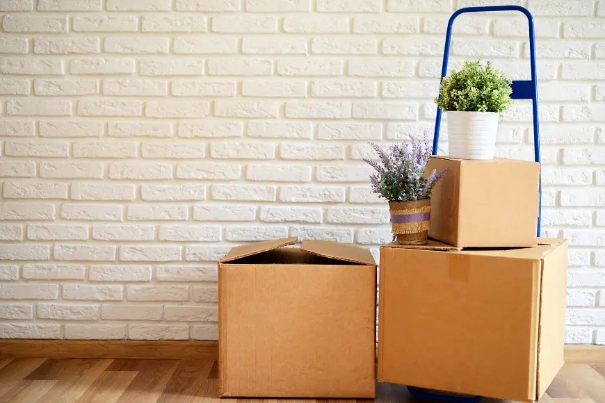 5 Hong Kong Moving Myths Debunked post illustrative image