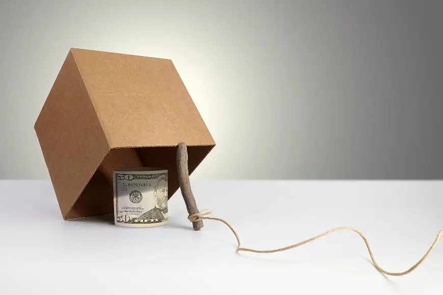 Understanding Half-Share and Fractional-Share Properties post illustrative image
