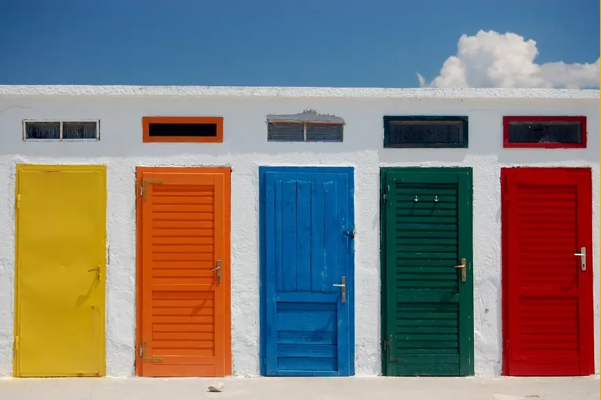 2025's Top Wood Door Color Trends post illustrative image