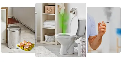 Healthy Home Paint: Nippon Little Prince Series Guide illustrative image