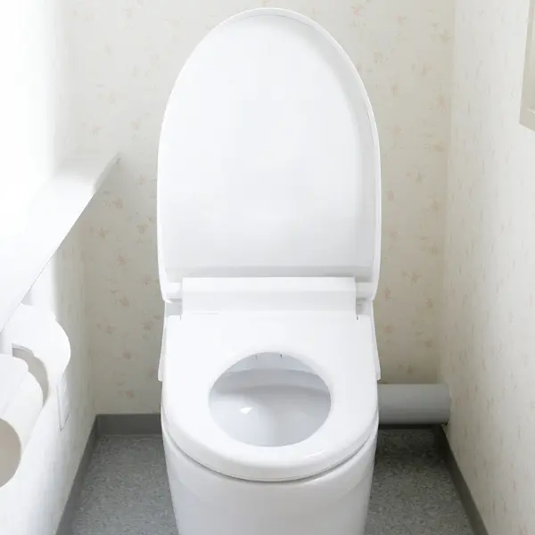 Choosing Compact Toilets: Space vs. Performance illustrative image