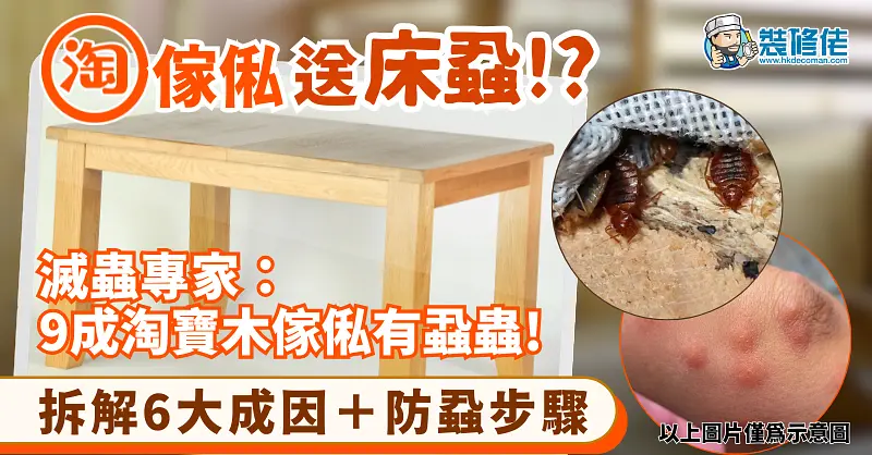 淘宝家具藏床虱：防虫指南与应对策略 illustrative image