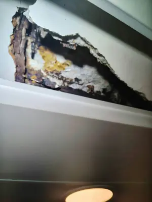 Concrete Collapse in New Home Reveals Cosmetic Flat Trap illustrative image
