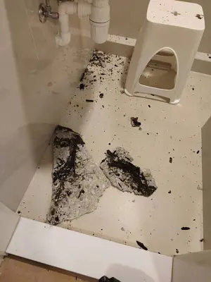 Concrete Collapse in New Home Reveals Cosmetic Flat Trap illustrative image