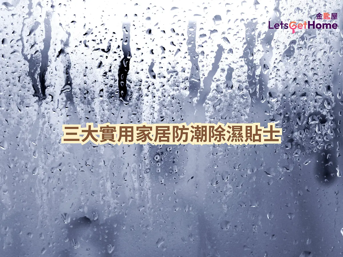 Beat Hong Kong's Humidity: 3 Key Tips post illustrative image