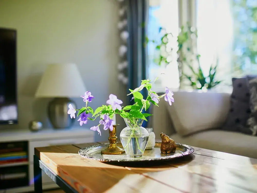 2024 Home Wealth Position and Feng Shui Wealth Tips  post illustrative image