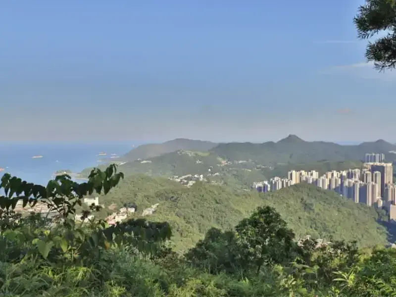 住西贡都是有钱人？普通人住西贡的4大好处 post illustrative image