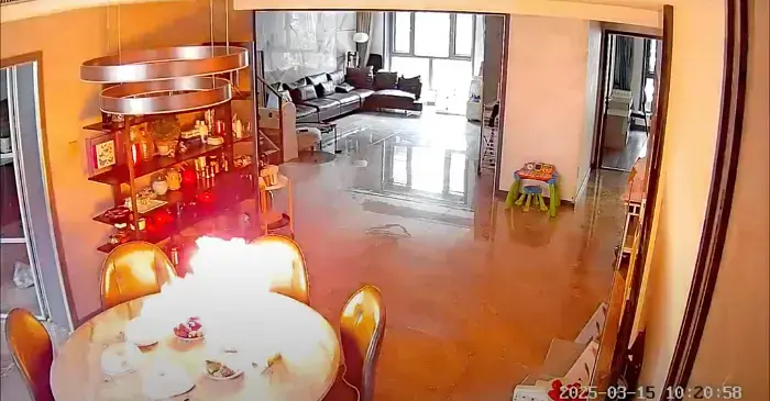 电餐桌爆炸引安全隐忧，北上购物需谨慎 post illustrative image