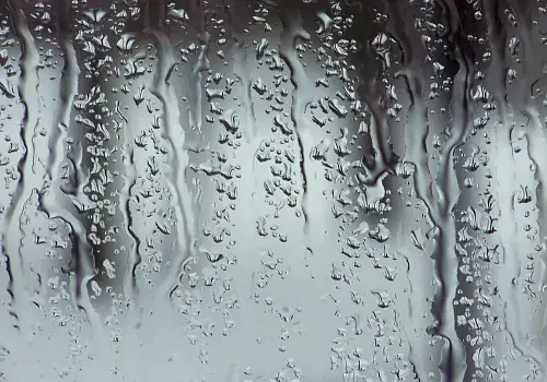 Best Times to Open Windows in Humid Weather post illustrative image