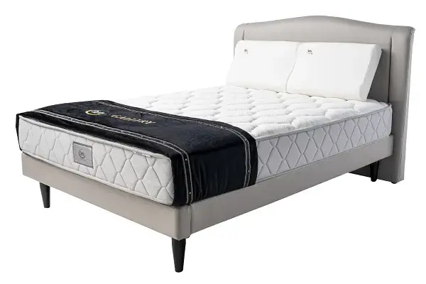 Choose the Right Mattress for Spinal Health post illustrative image
