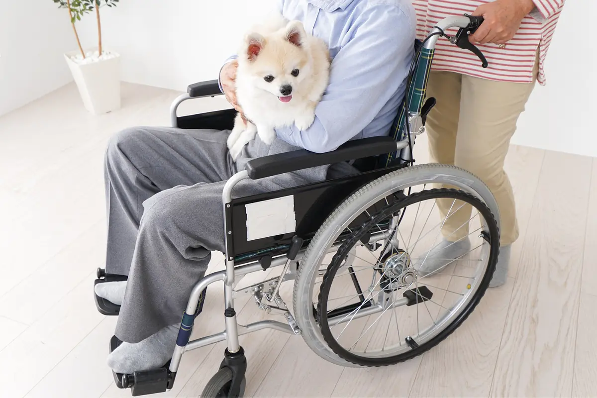 【施政報告 2025】4大長者福利 illustrative image