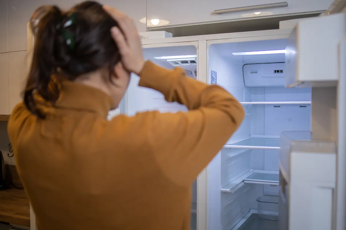Fix Your Fridge's Cooling and Leaking Issues illustrative image