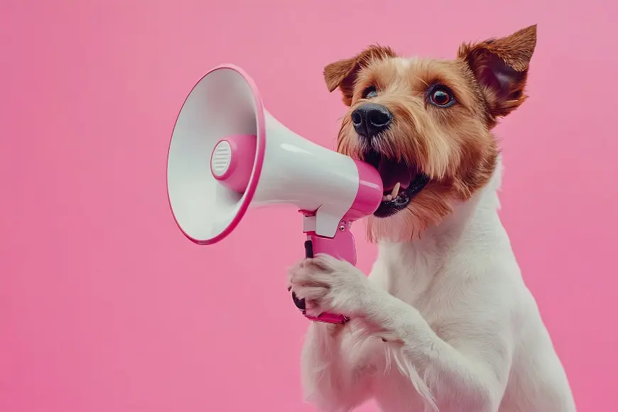 How Do You Handle Residential Noise Complaints in Hong Kong? post illustrative image