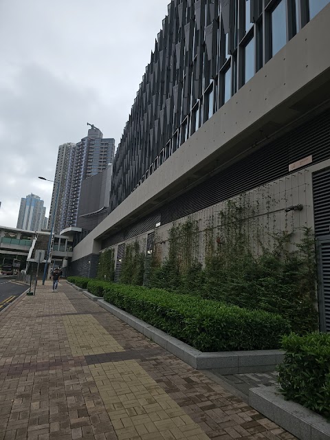 淘大花園 1期数