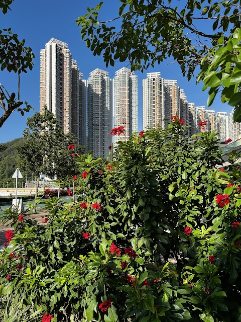 維景灣畔 3期数