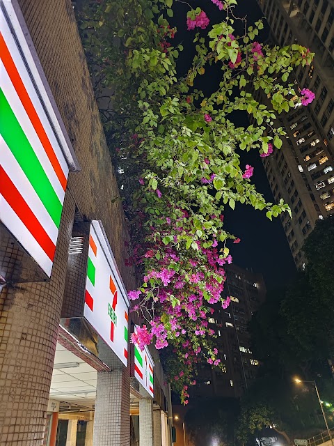 大興花園 第二期